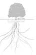 The Drive Progress in Man: ADHD and Dyslexia in Context