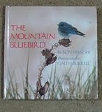 The Mountain Bluebird: 2