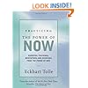 Practicing the Power of Now: Essential Teachings, Meditations, and Exercises From The Power of Now