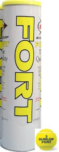 DUNLOP�i�_�����b�v�j�y�t�H�[�g�iFORT�j�i�S����j�k30�ʁl�z�e�j�X�{�[��