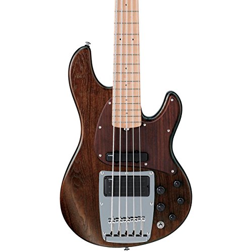 The Best 5 String Basses Under 1000 Guitar Reviews 2016