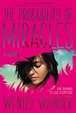 "The Probability of Miracles" av Wendy Wunder