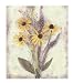 Black Eyed Susans by Rosanne Olson Fine Art Print / Poster 8.00 x 10.00 in.