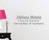 UPC 642014250721 product image for Hakuna Matata it means no worries for the rest of your days cute fairy magical  | upcitemdb.com