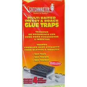 12 Multi Baited Insect & Roach Glue Trap - 3 Packs of 4 Traps