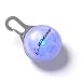 Clip-On Carabiner Light Blue