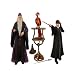 Harry Potter and Dumbledore Year 2 Box Set