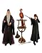 Harry Potter and Dumbledore Year 2 Box Set