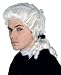 Colonial Man Wig White Costume Halloween Judge