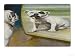 Bulldog Admires Its Reflection in a Distorting Mirror, English Bulldog Giclee Art Poster Print, 24x18