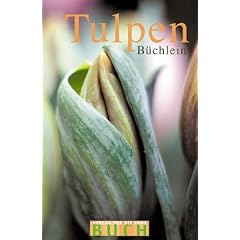 Das Tulpenb�chlein
