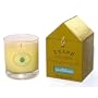 Trapp Large Poured Candle No.13 Bob's Flower Shoppe, 6.8 oz