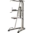 Gold's Gym Platinum Assisted Power Tower