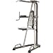 Gold's Gym Platinum Assisted Power Tower