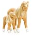 Bitsy the Baby Horse