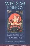 Wisdom Energy