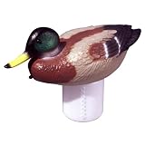 Poolmaster 32130 Chlori Duck Mallard Chlorine Dispenser 41UQkE4lfDL. SL160 Poolmaster 32130 Chlori Duck Mallard Chlorine Dispenser