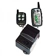 Astra 1000RS-2W1 Remote Starter/Alarm with Two 5-Button Remotes