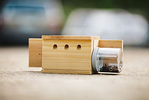 Bees N Things Back Mount Carpenter Bee Trap