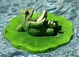 Water Pond Decor