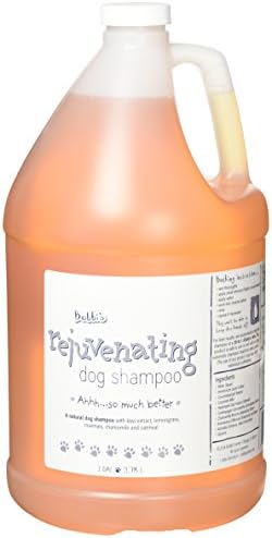 Nilodor Rejuvenating Dog Shampoo - Made in USA - Natural Formula Restores and Revitalizes Skin & Fur - Concentrated 30:1 for Professional Groomers - Orange Citrus & Rose Scent, 1 Gallon