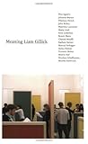 Meaning Liam Gillick