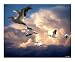 Angels in Flight Animals Photographic Poster Print by Bill Stephens, 10x8