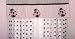 Kids Line Drapes - Mod Lady Bug