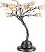 ET2 Eight Light Branch Desk Lamp