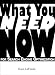 What You Need NOW for Search Engine Optimization