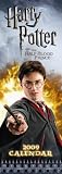 Harry Potter 2009 Slim Calendar