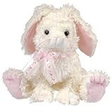 Knowing God: Walking through the Book of Books