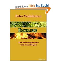 Holzrausch: Der Bioenergieboom und seine Folgen