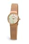 Skagen Women's 358XSRRD Rose Gold Mesh Watch