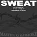 Sweat (In The Style of Bow Wow & Lil Wayne) [Karaoke Version]