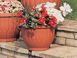 Review B-Line  / B.Line H182 Etruscan Planter Terracotta 38cm