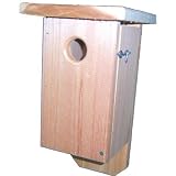 Flat Top Bluebird House