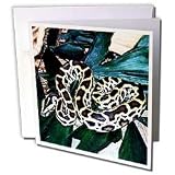 image link - - B000VG772W