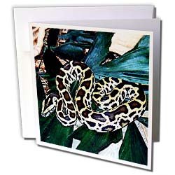 image link - - B000VG3JR4