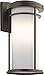 Kichler 49688OZ Wall Porch Light