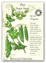 Peas Sugar Snap Certified Organic Seeds 85 Seeds