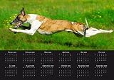 Eigenschaften Das Tierporträt  / Jahresplaner Kalender Whippet 2009