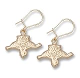 Florida Panthers 14K Gold Dangle Earrings