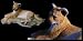 Sherratt & Simpson - Lion Cub Lying