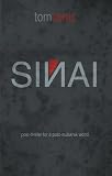 SINAI: post-thriller for a post-mubarak world