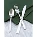 Windsor Heavy Weight Flatware, Teaspoon 1 Dozen per case, 12/BOX