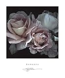 Romance - S. Rose Art Print - Poster