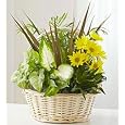 BUY : Flowers by 1800Flowers - Dish Garden with Fresh Cut Flowers - Medium