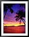 Island Sunset, Marovo Lagoon, Western Province, Solomon Islands Art Styles Framed Photographic Poster Print by Peter Hendrie, 39x49