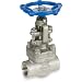 Sharpe Valves 44836 Series Stainless Steel 316L Globe Valve, Bolted Bonnet, Inline, Hand Wheel, NPT Female